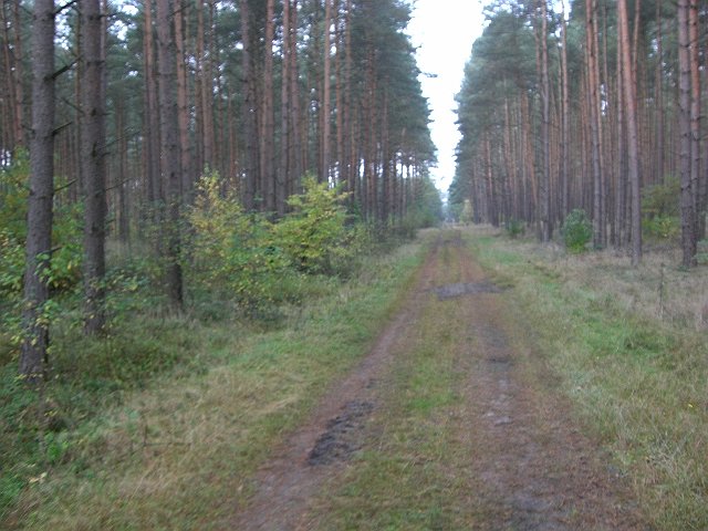 CTF Celle Strecke 075